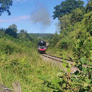 Weekend-Away-Steam-Strain